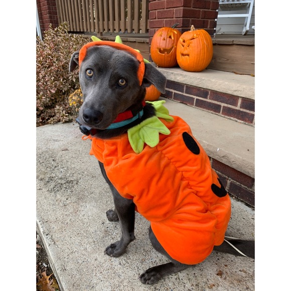 Meet your Posher, Cortney - Picture 1 of 1